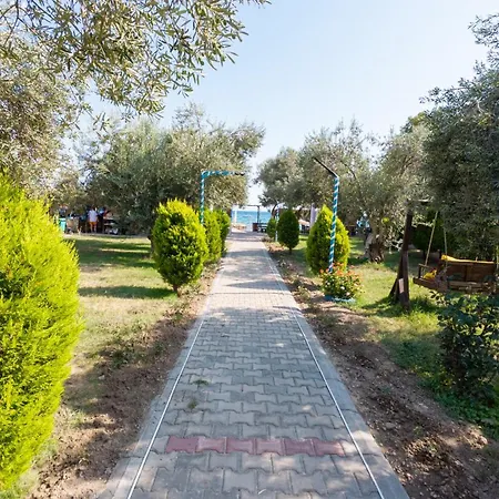 Hotel Concept Ayvacik