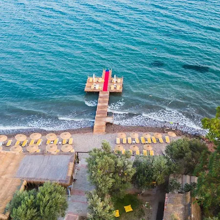 Concept * Ayvacik (Canakkale)