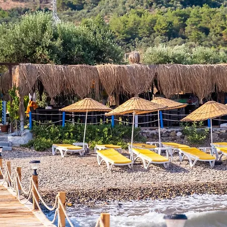 Concept * Ayvacik (Canakkale)